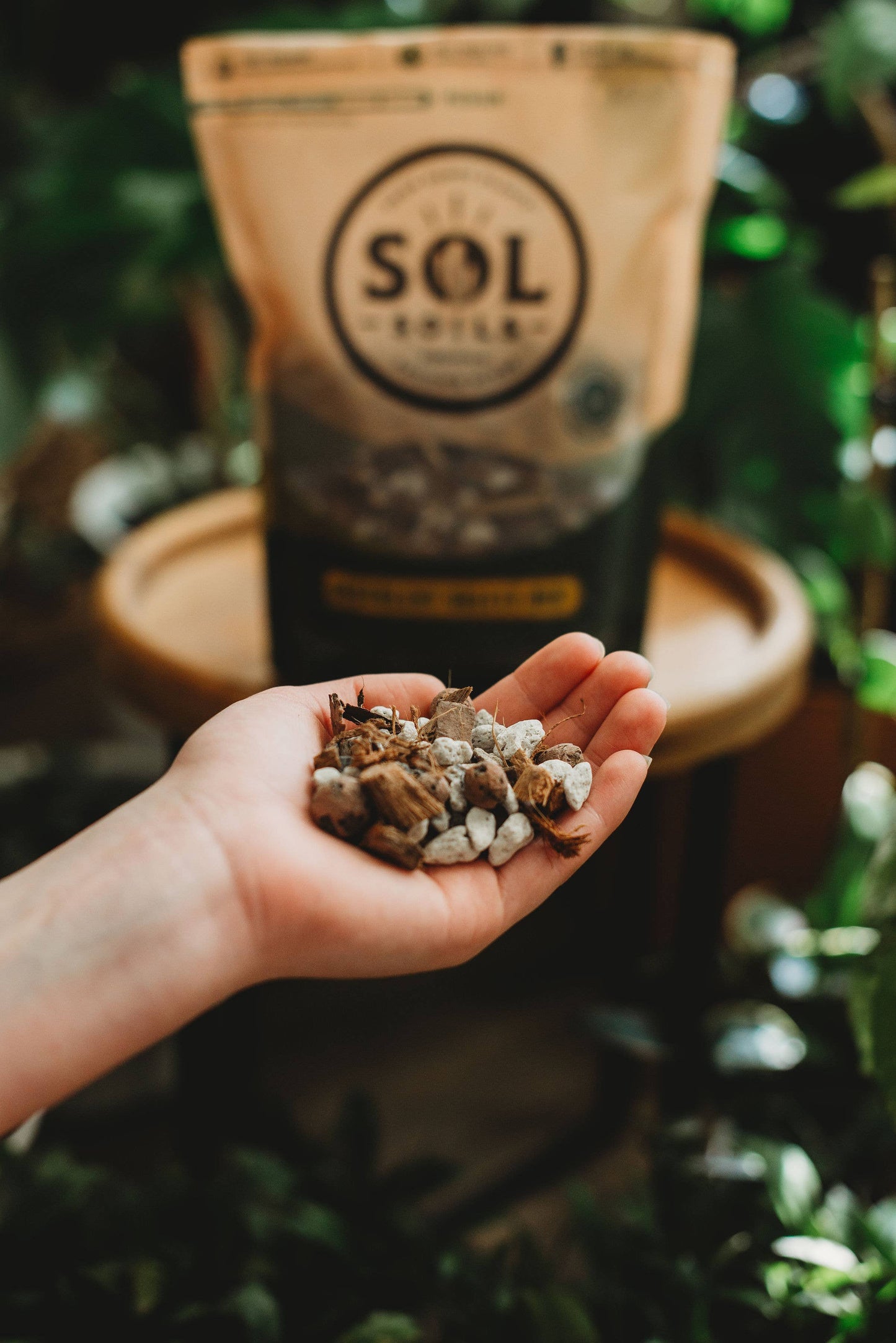 Soil (1Qt) Succulent Gritty Mix