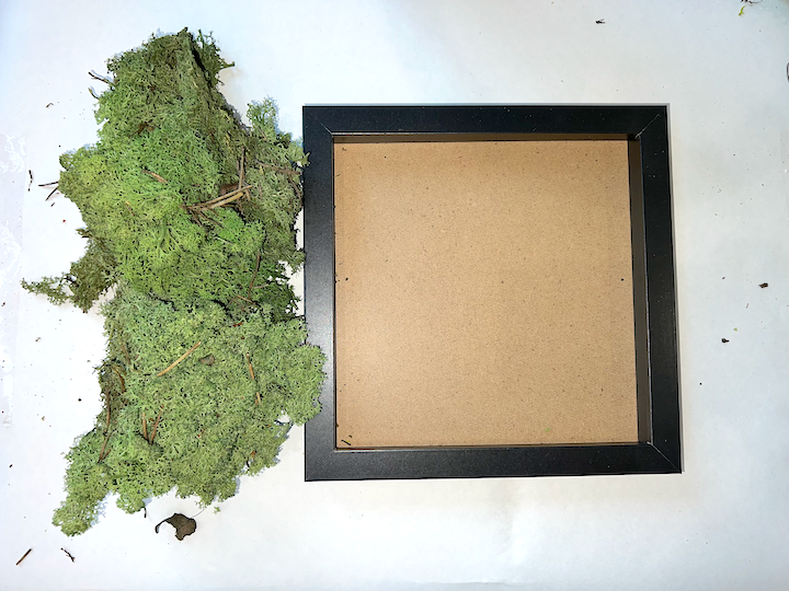 DIY Moss Art Kit | DIY Kit | Moss Art