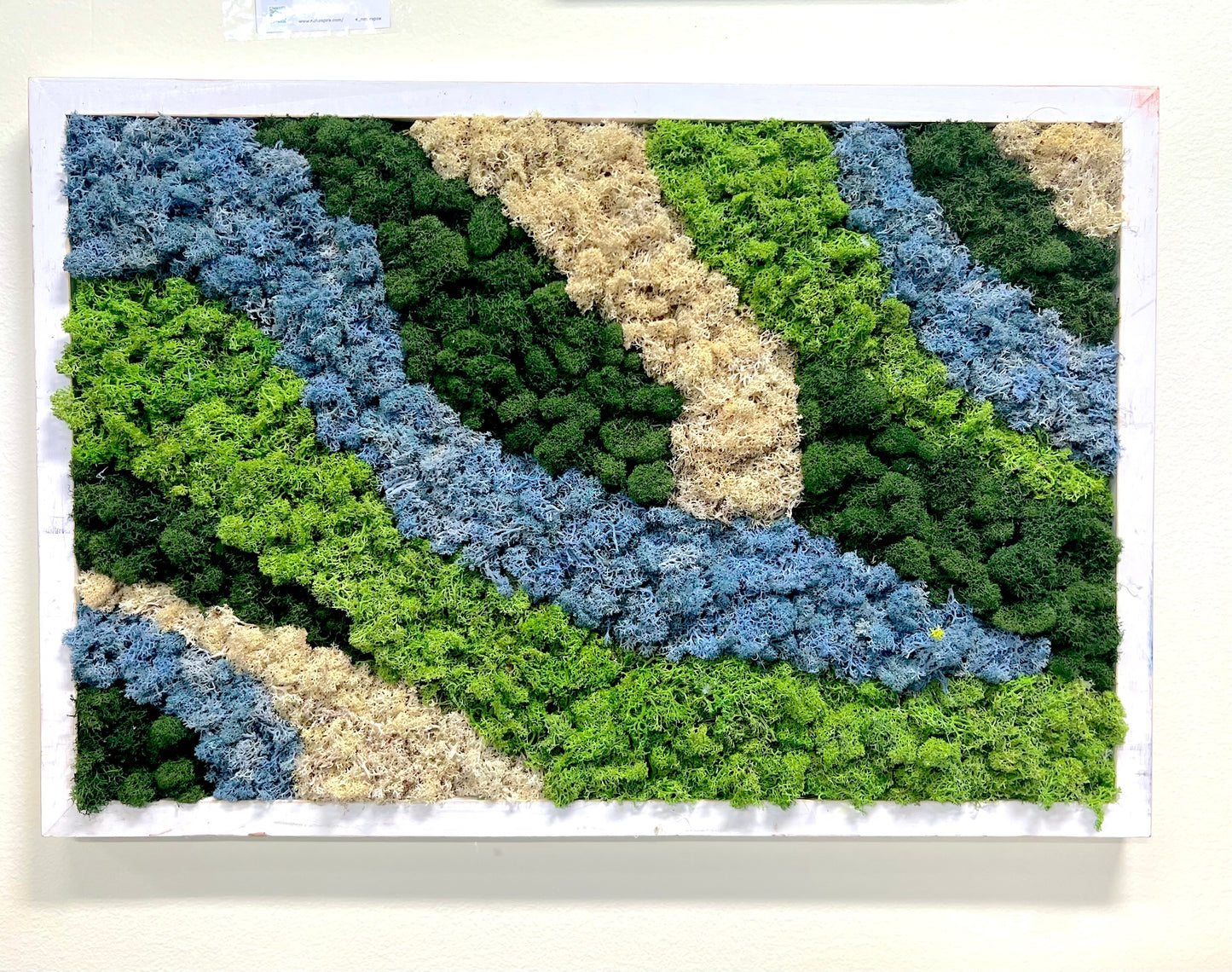 Moss Wall Art | Horizontal Wall Art | Preserved Moss Art