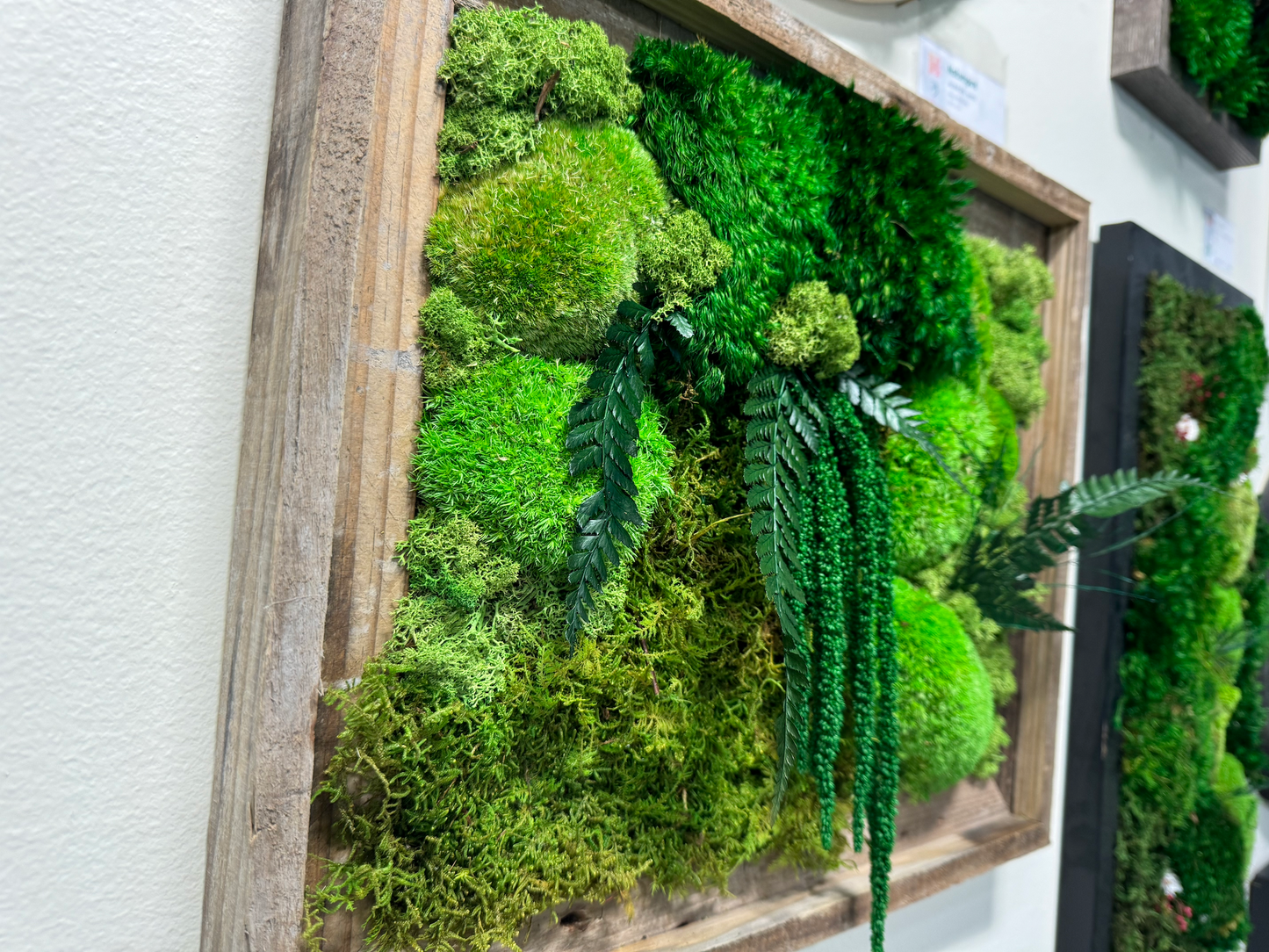 Moss Wall Art | Wall Decor | Preserved Moss Wall Art