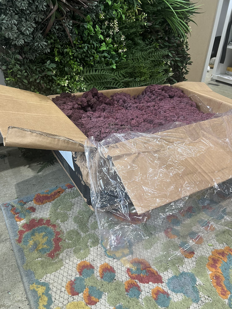 Reindeer Moss | Sangria Moss | Preserved Moss