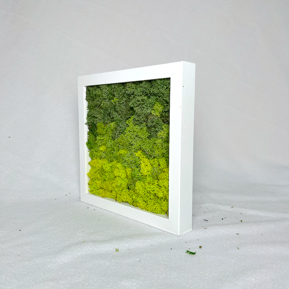 Green Dream | Moss Wall Art | Green Moss Art