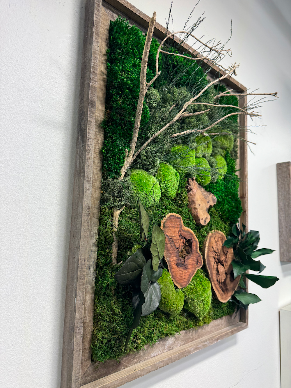 Handmade Moss Wall Art | Preserved Moss Art | Sustainable Decor | Eco-Friendly | Vertical Art | Moss Art with Wood Accent