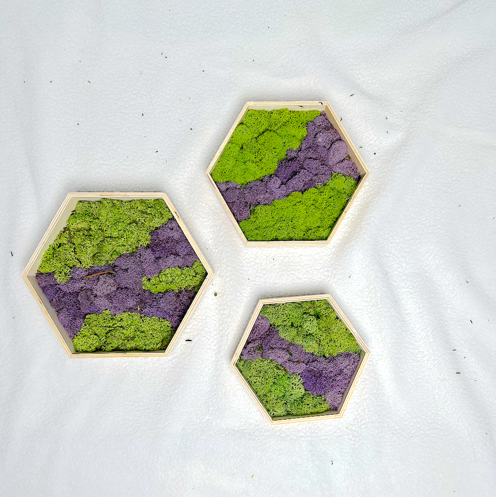 3-Piece Moss Set | Hexagon Moss Art | Green and Purple Moss Wall Art