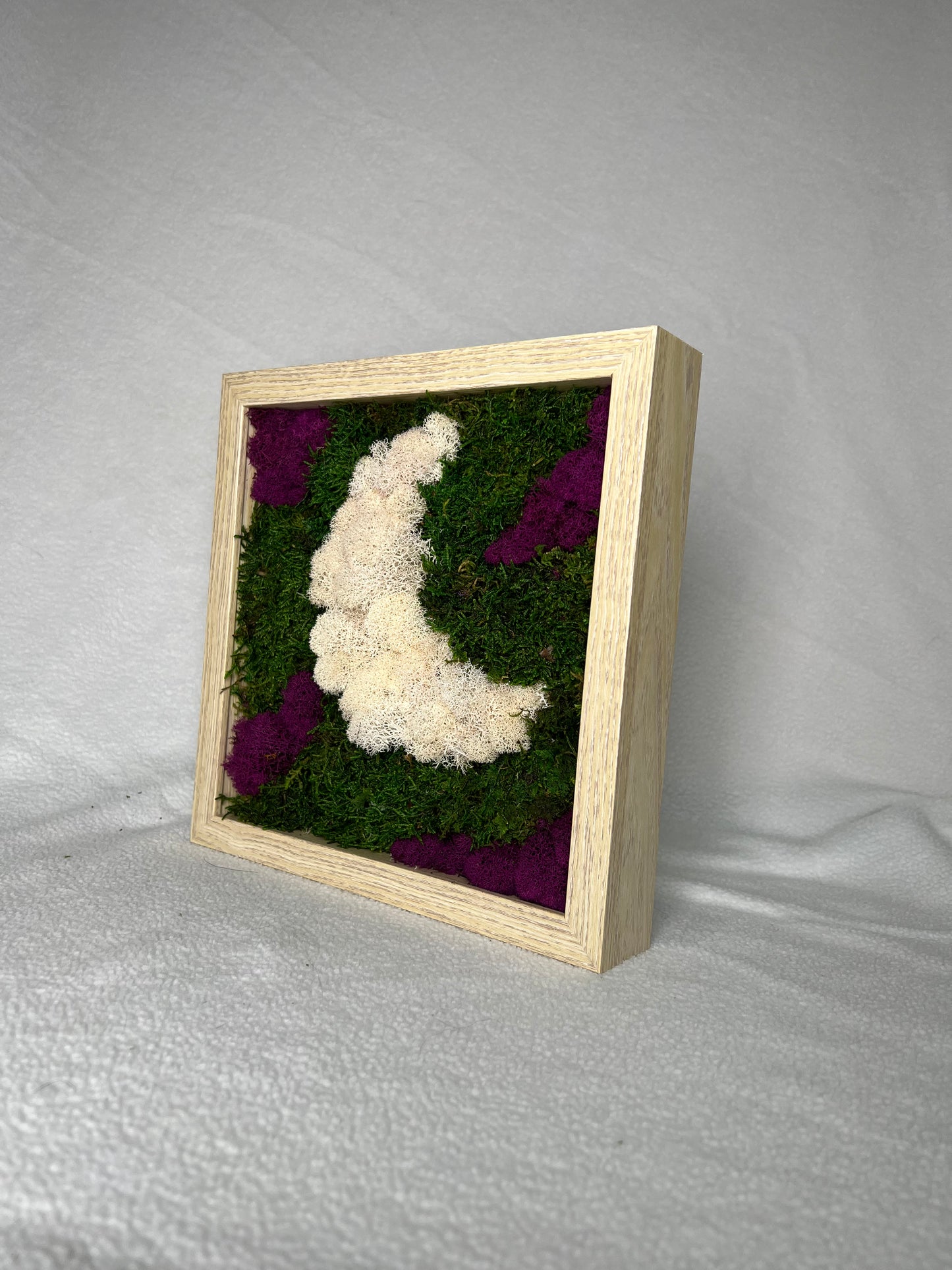 Moss Wall Art | Moon Moss Art