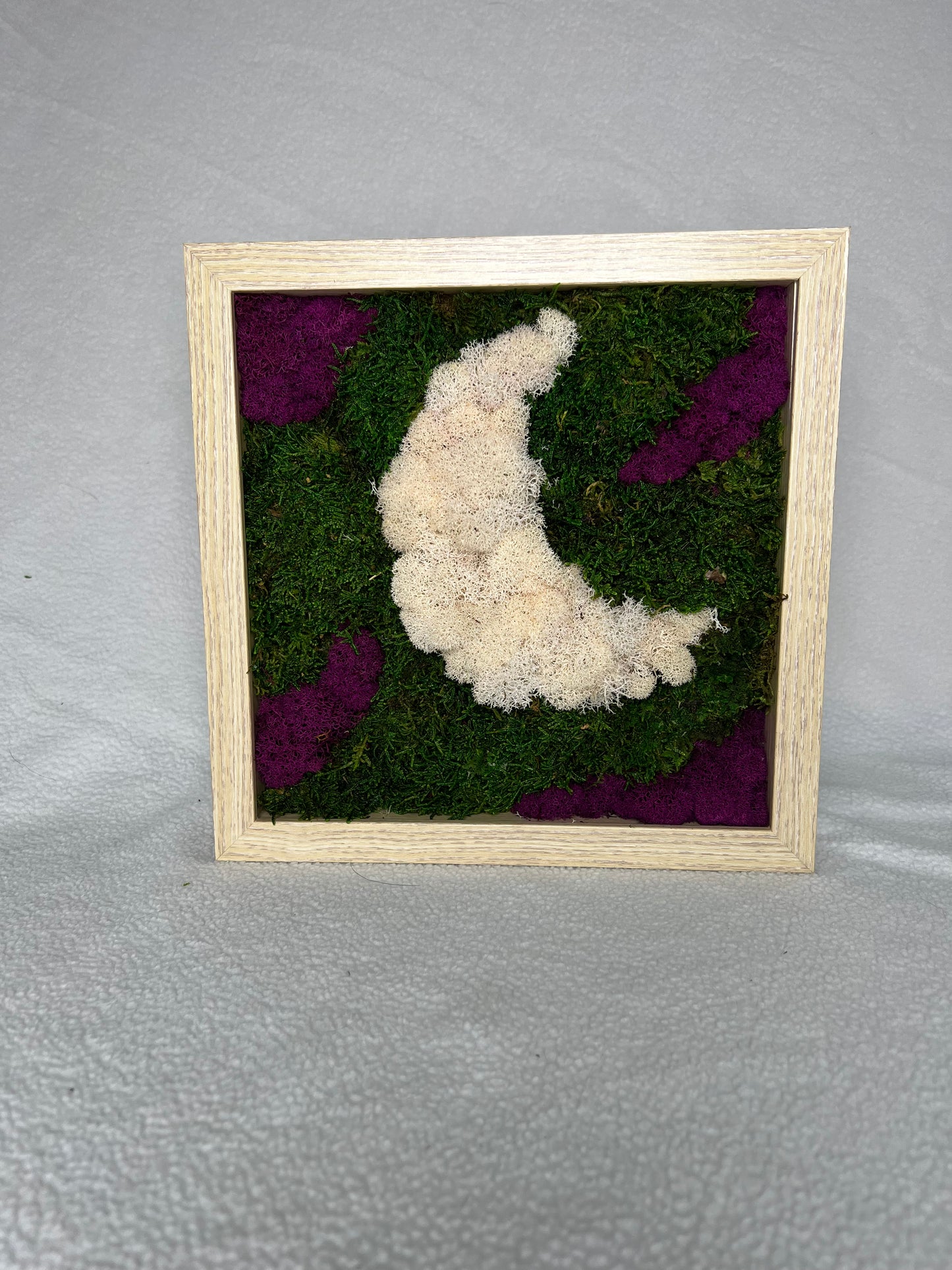 Moss Wall Art | Moon Moss Art