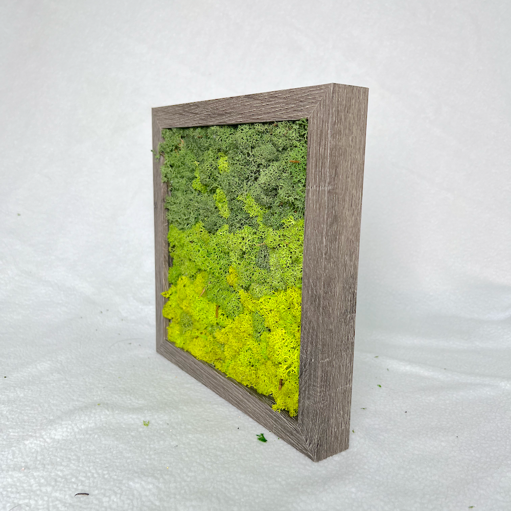 Green Dream | Moss Wall Art | Green Moss Art