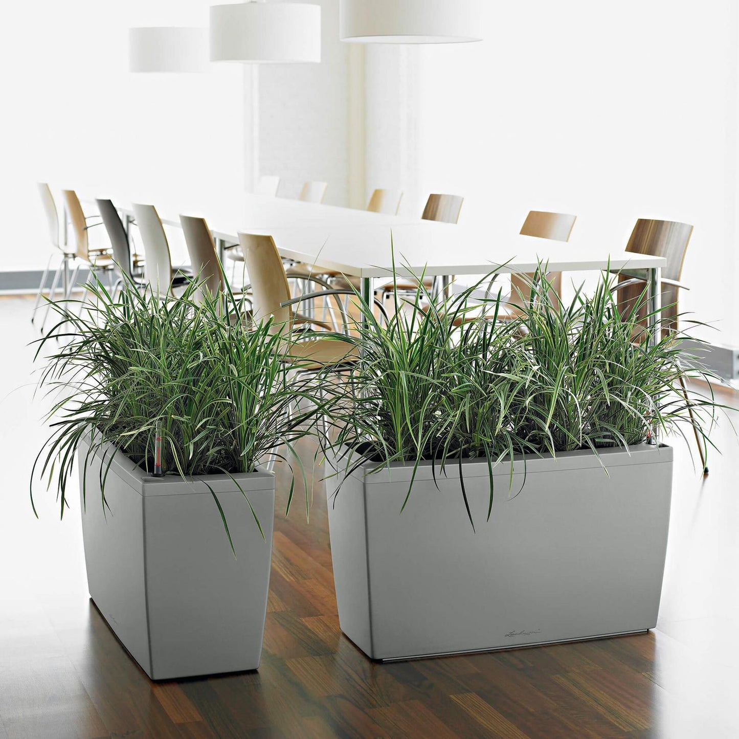 Rectangle Planter - Cararo Planter