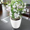 Round Planter - Classico Planter