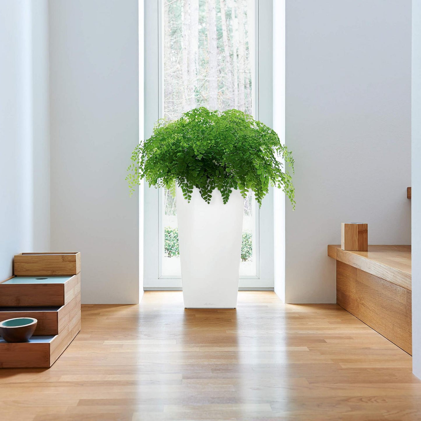 Cubico Planter | Self Watering Planter