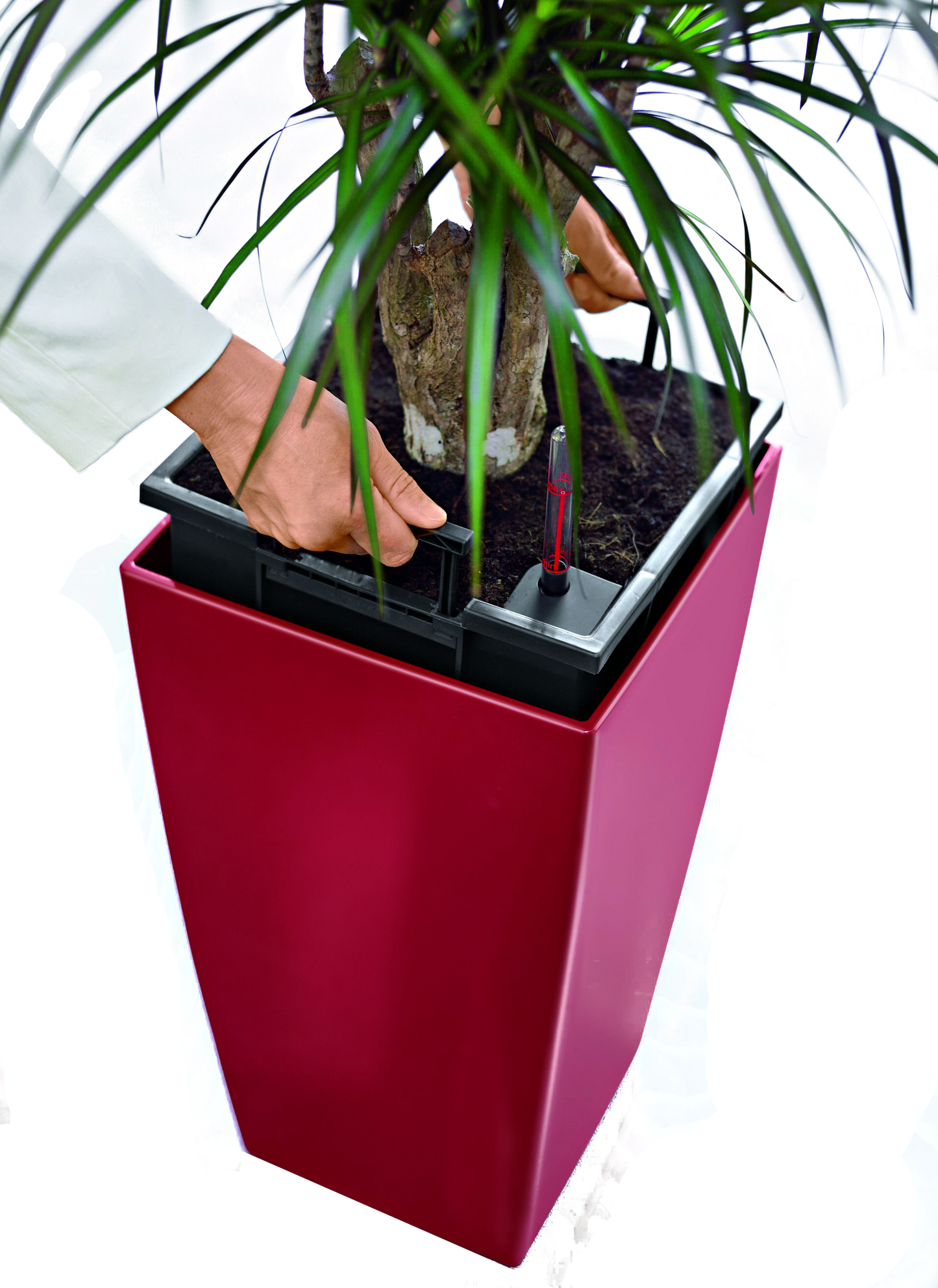 Cubico Planter | Self Watering Planter