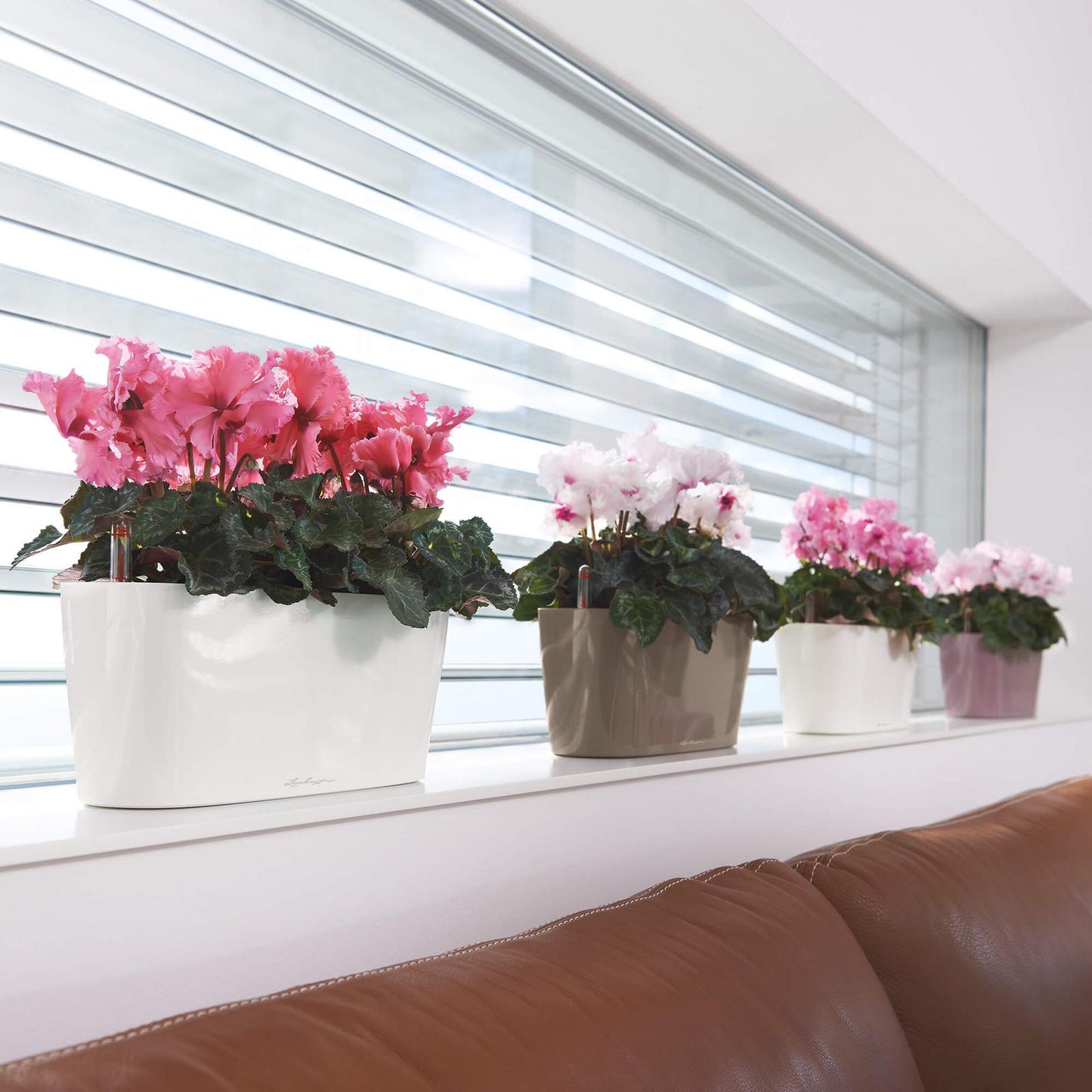 Self-Watering Windowsill Planter