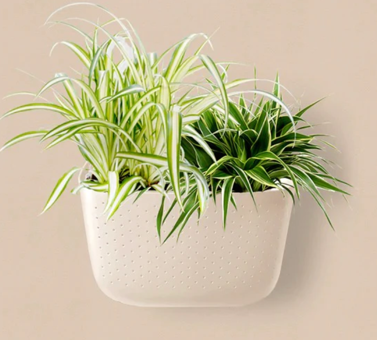 Wally Eco Living Wall Planter | Wall Planter | Hanging Planter