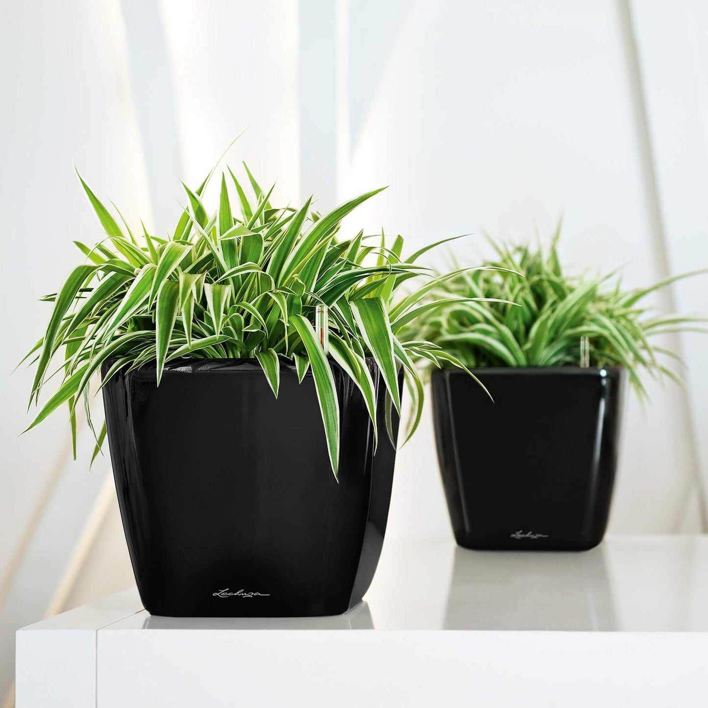 Quadro Planter