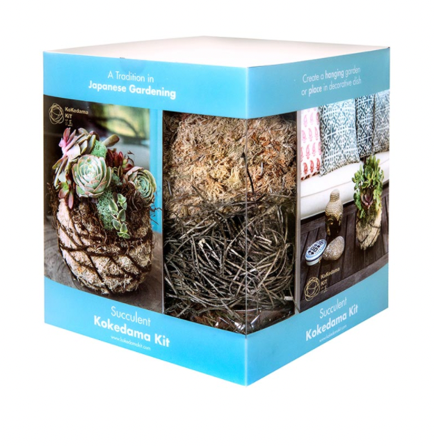 Kokedama Kit Succulent | DIY Succulent Kit