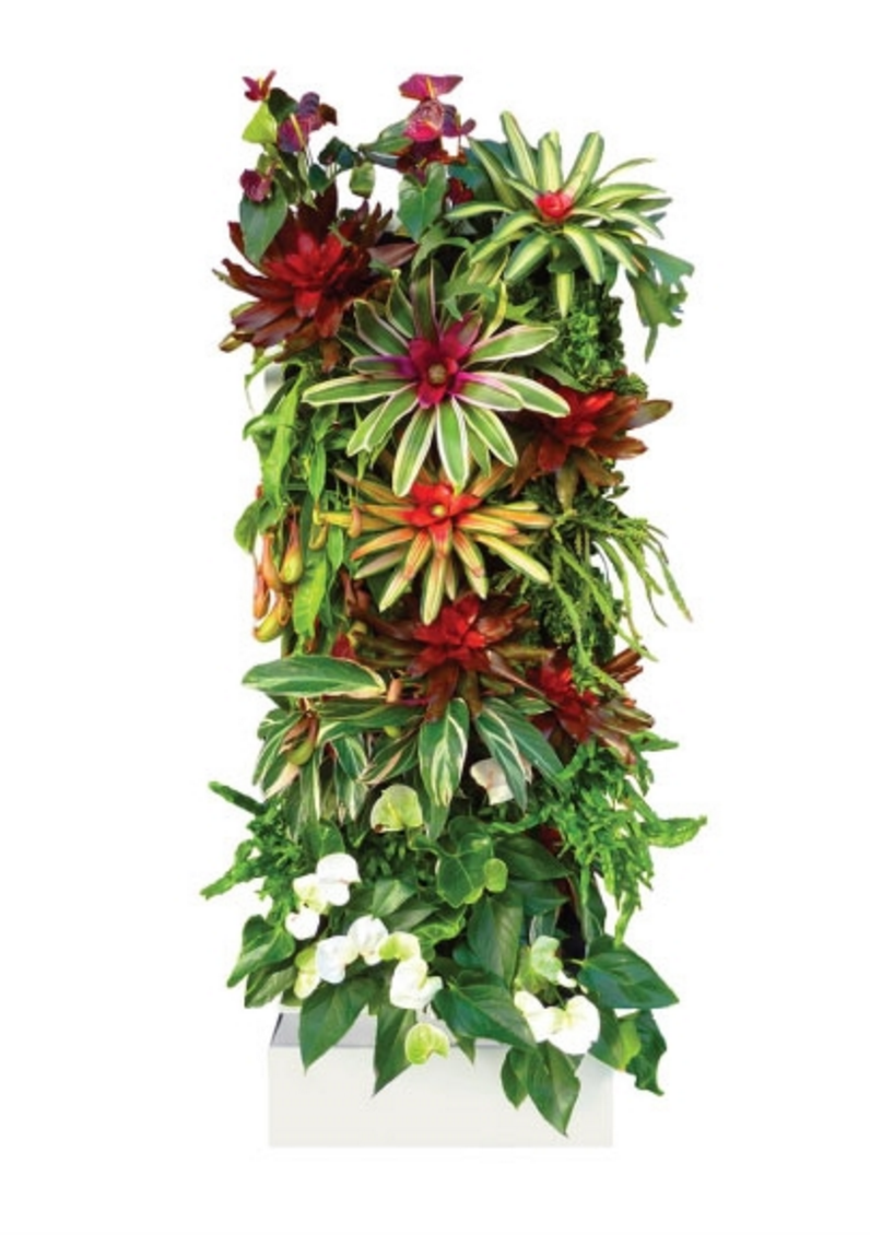 indoor self watering wall planter DIY Living Wall