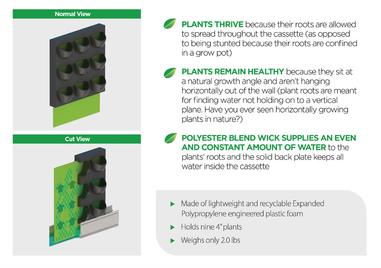 Live Picture IV | Living Wall | DIY Plant Wall