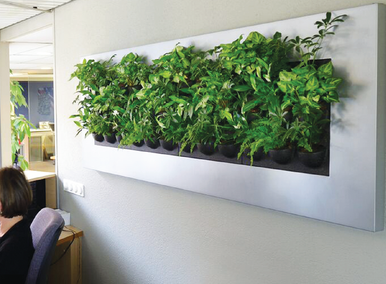 live plant wall indoor Live Picture IV | Living Wall