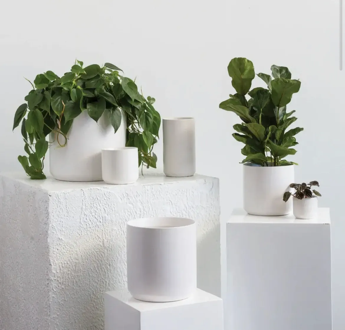 White Ceramic Pot