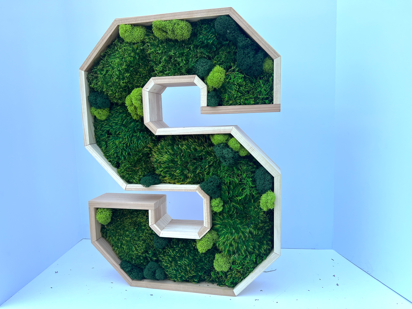 Letter Moss Art | Custom Letter | Moss Wall Art