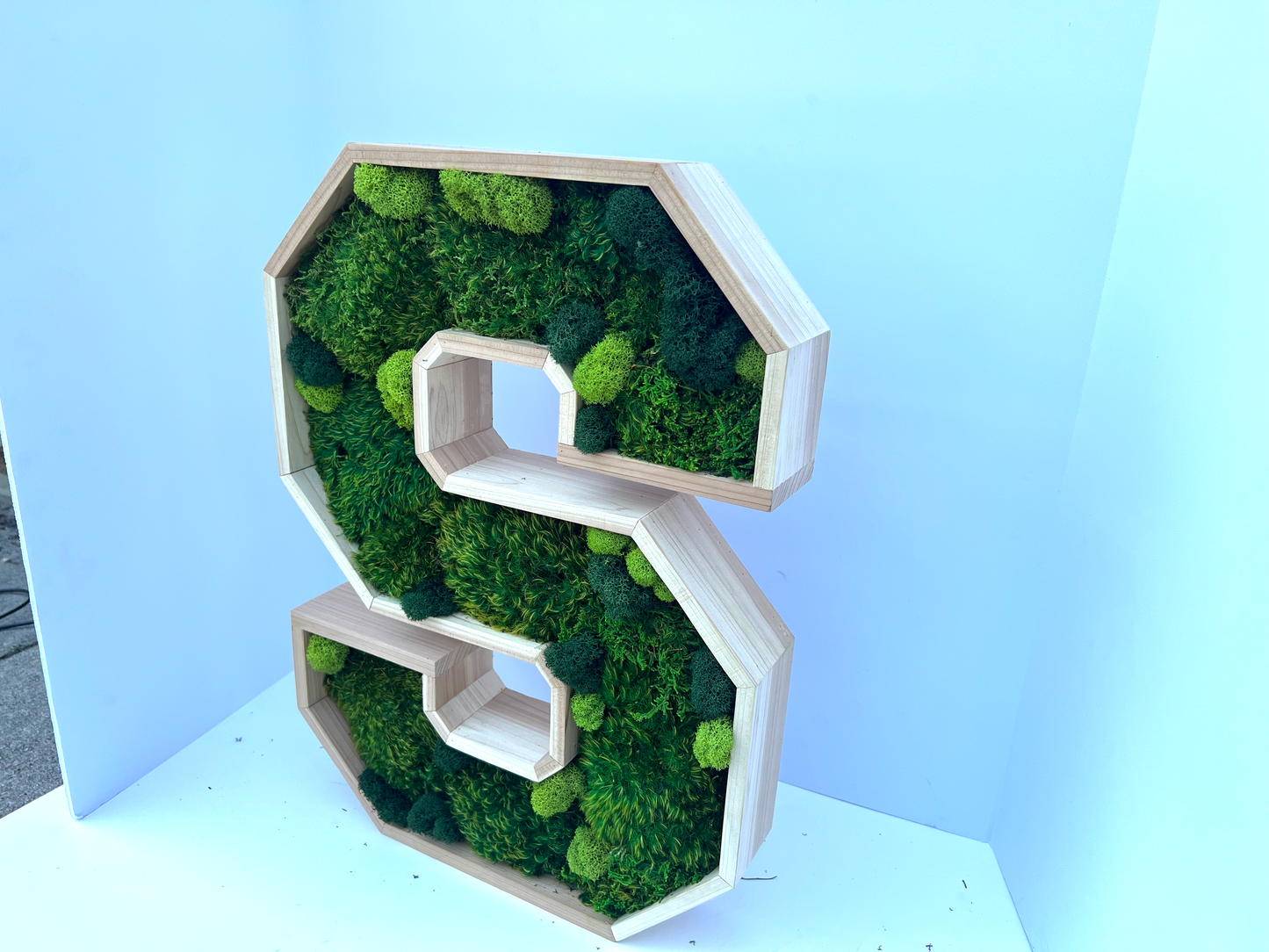 Letter Moss Art | Custom Letter | Moss Wall Art