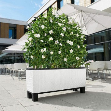 Trio Cottage Patio Planter | Outdoor Planter | Rectangle Planter