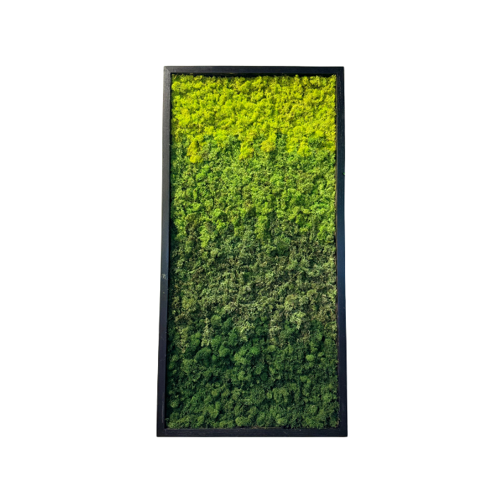 Ombre Gradient Moss Art | Handmade Moss Wall | Custom Moss Art | Indianapolis Moss Wall