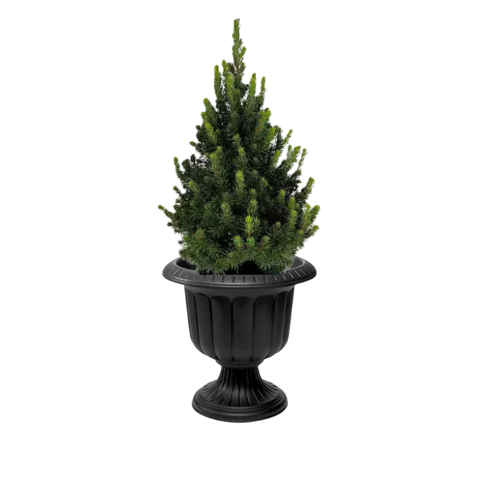 Classic Green Holiday Porch Pots | Seasonal Porch Pots | Holiday Planter