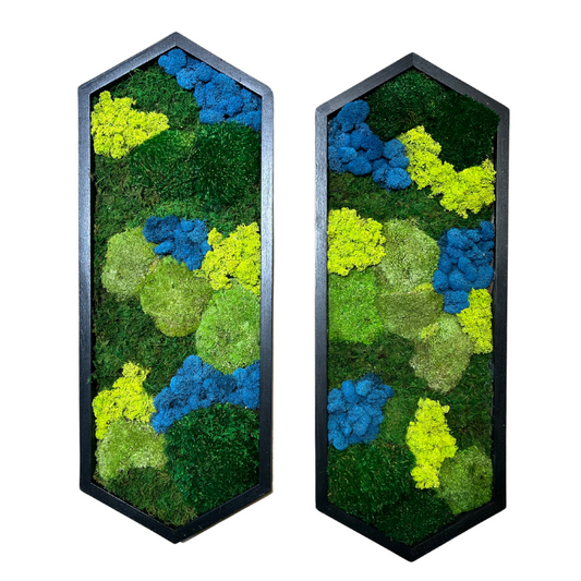 Colorful Moss Wall | Preserved Moss Art | Custom Moss Wall Art