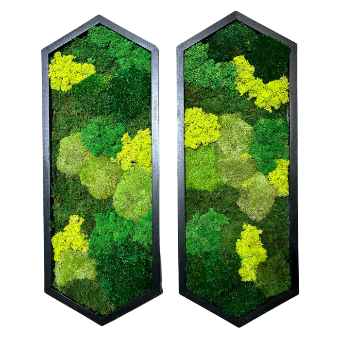 Colorful Moss Wall | Preserved Moss Art | Custom Moss Wall Art