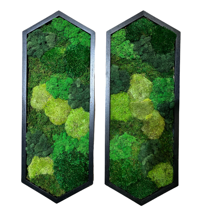 Colorful Moss Wall | Preserved Moss Art | Custom Moss Wall Art