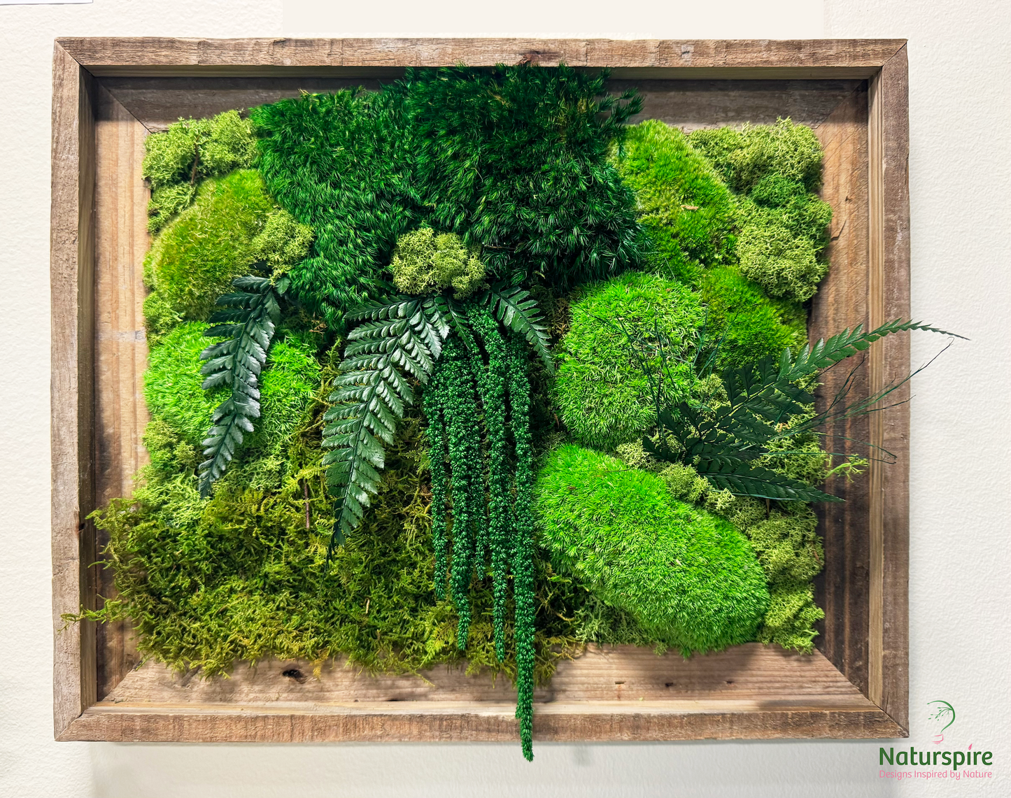  Real Preserved Moss Wall Art with Natural Wood.No
