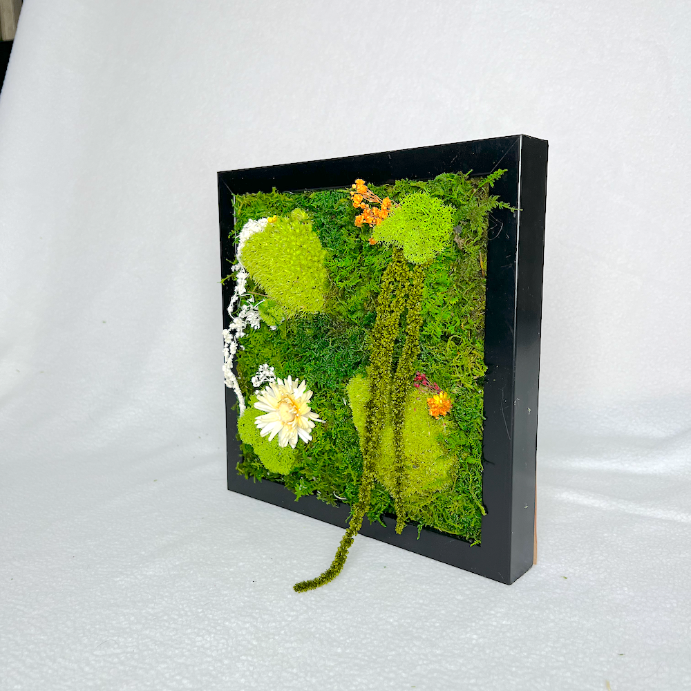 Dream Forest | Moss Wall Art | Preserved Moss Art