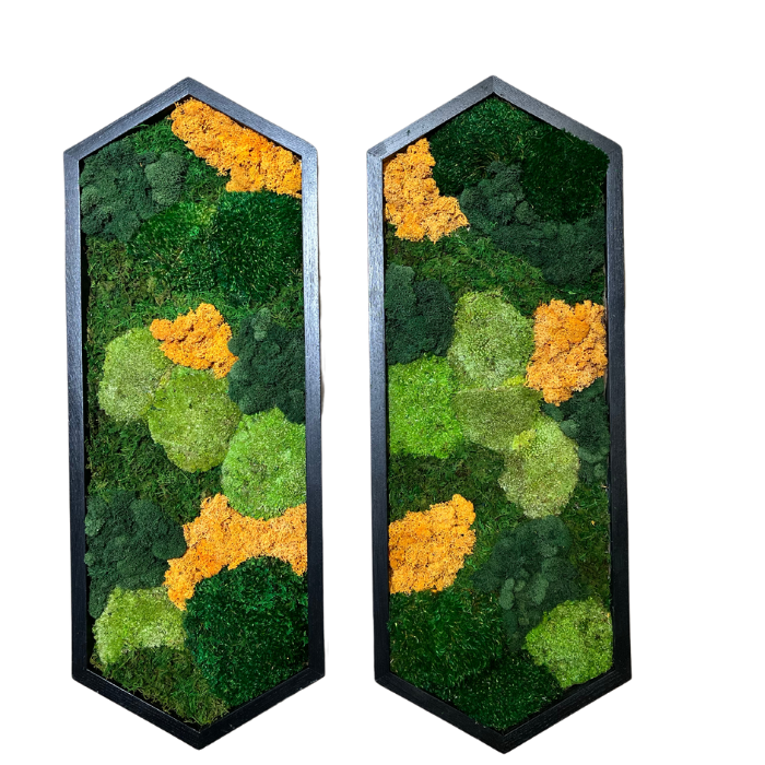 Colorful Moss Wall | Preserved Moss Art | Custom Moss Wall Art