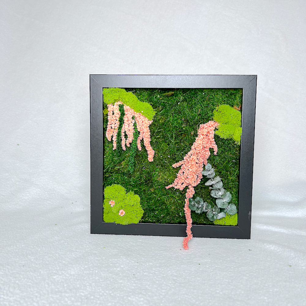Pink Sprinkles | Moss Wall Art | Preserved Moss Art
