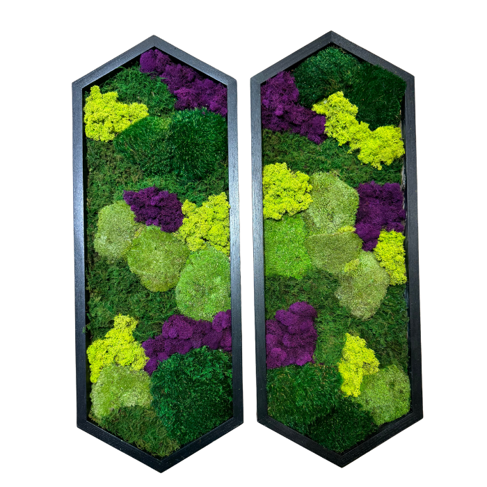 Colorful Moss Wall | Preserved Moss Art | Custom Moss Wall Art