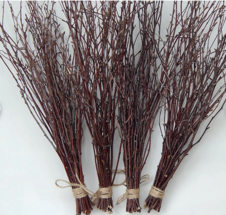 Birch Branch