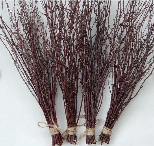 Birch Branch