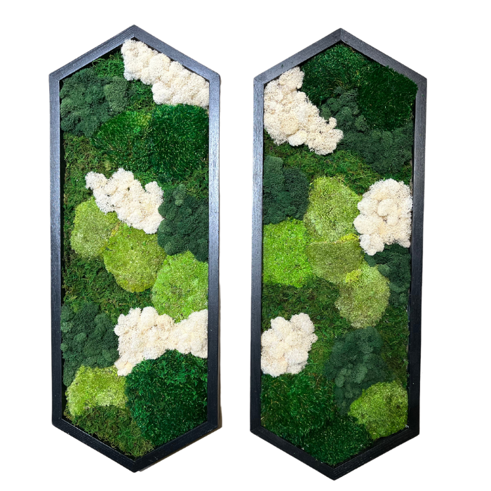 Colorful Moss Wall | Preserved Moss Art | Custom Moss Wall Art