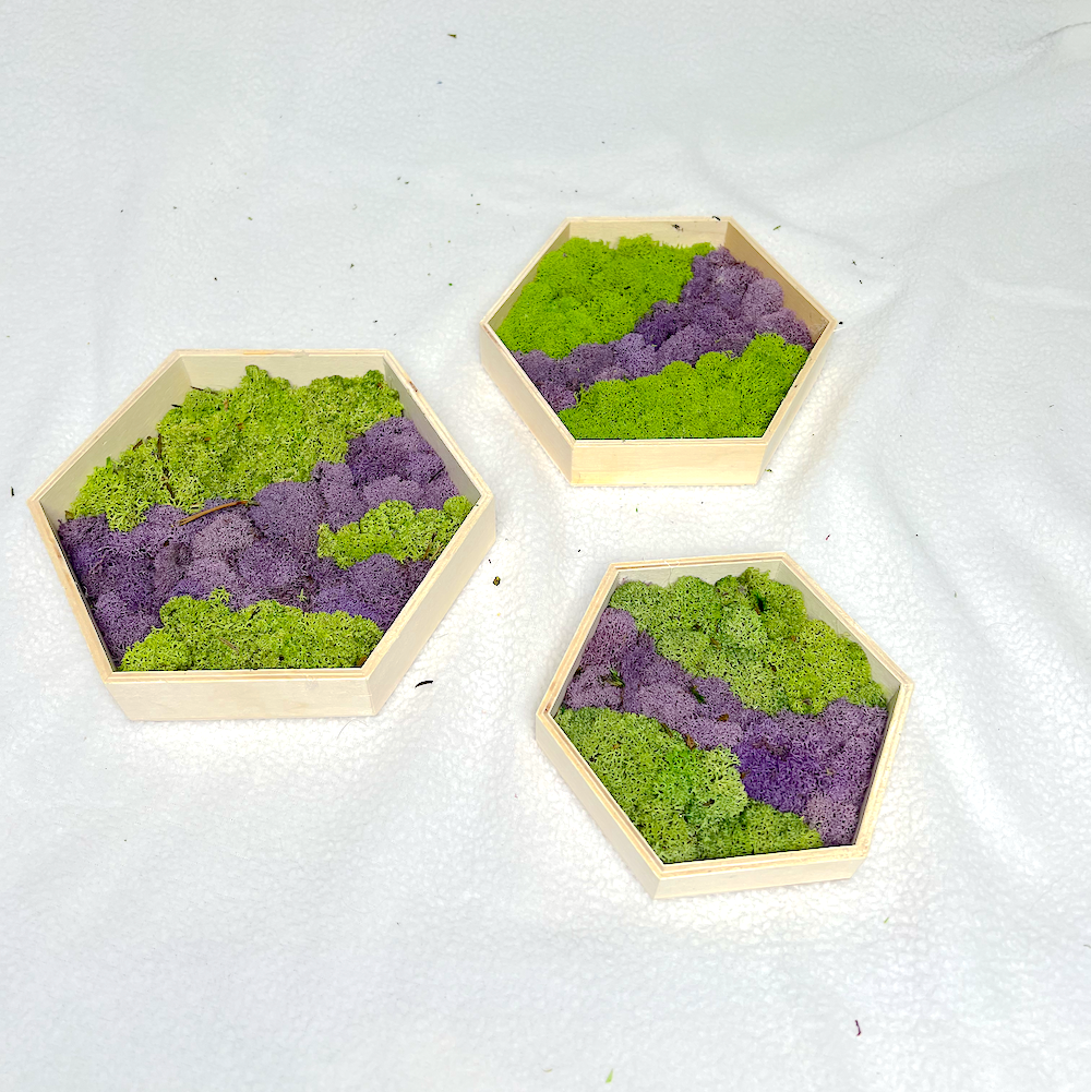 3-Piece Moss Set | Hexagon Moss Art | Green and Purple Moss Wall Art