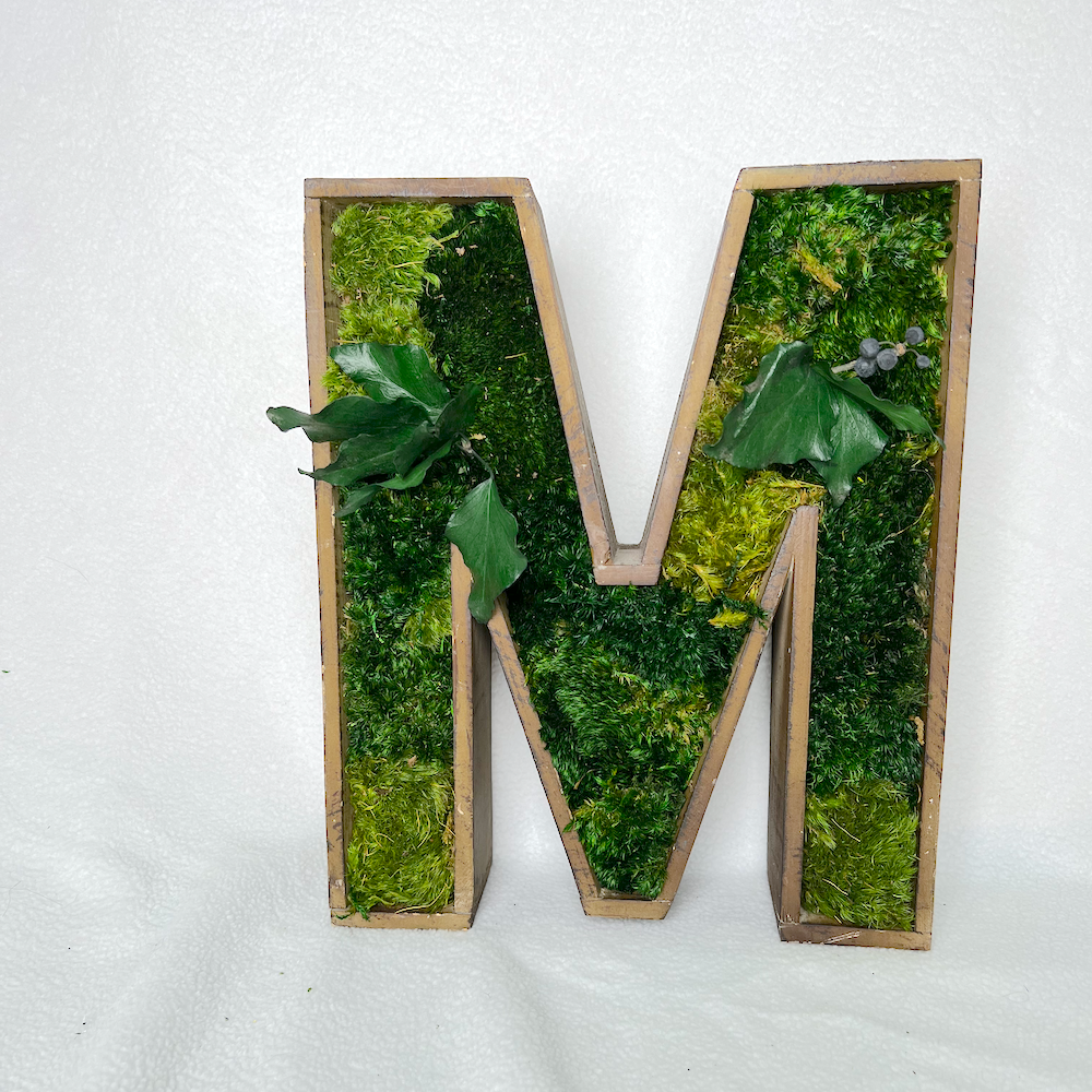 Letter Moss Art | Custom Letter | Moss Wall Art