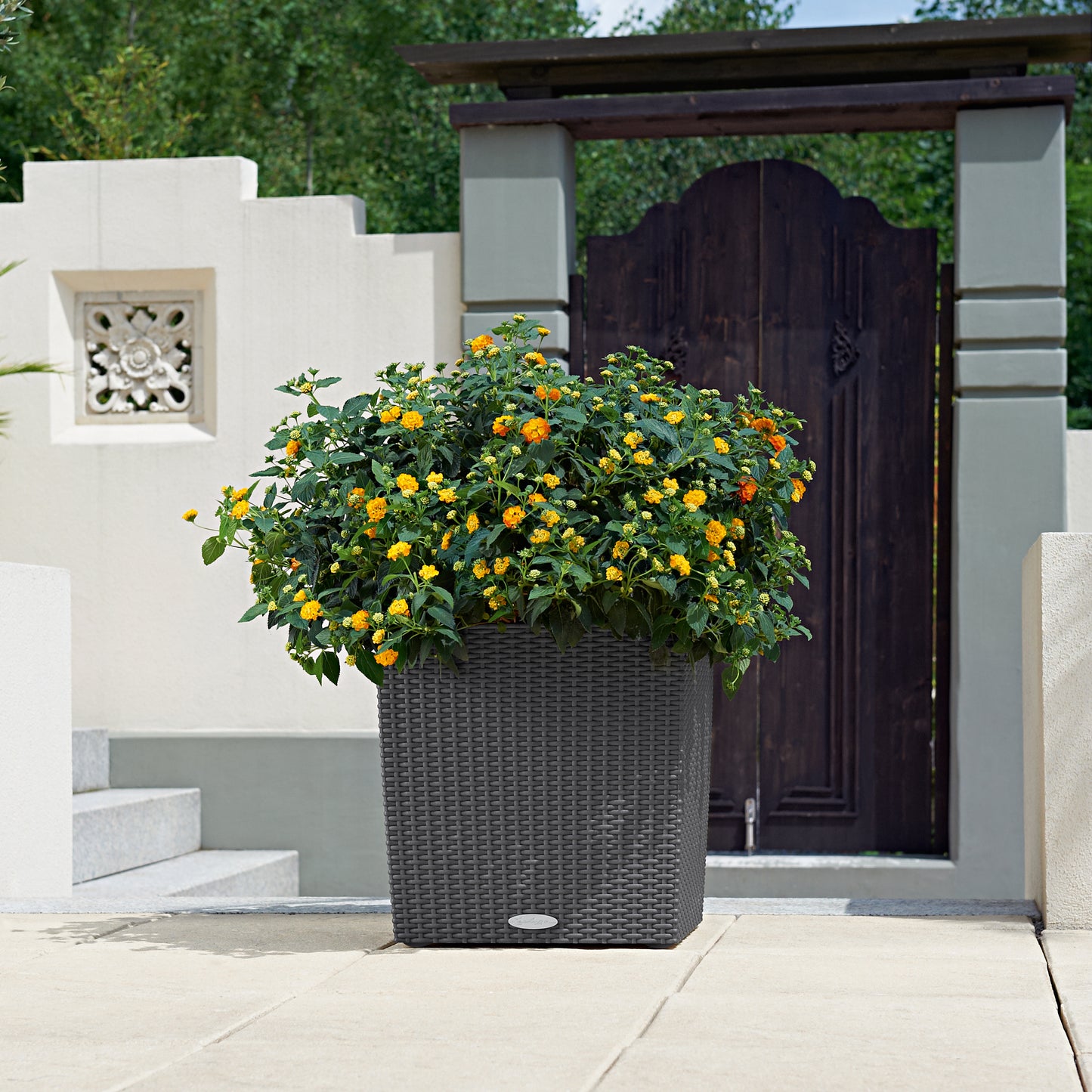 Square Cottage Patio Planter | Outdoor Planter