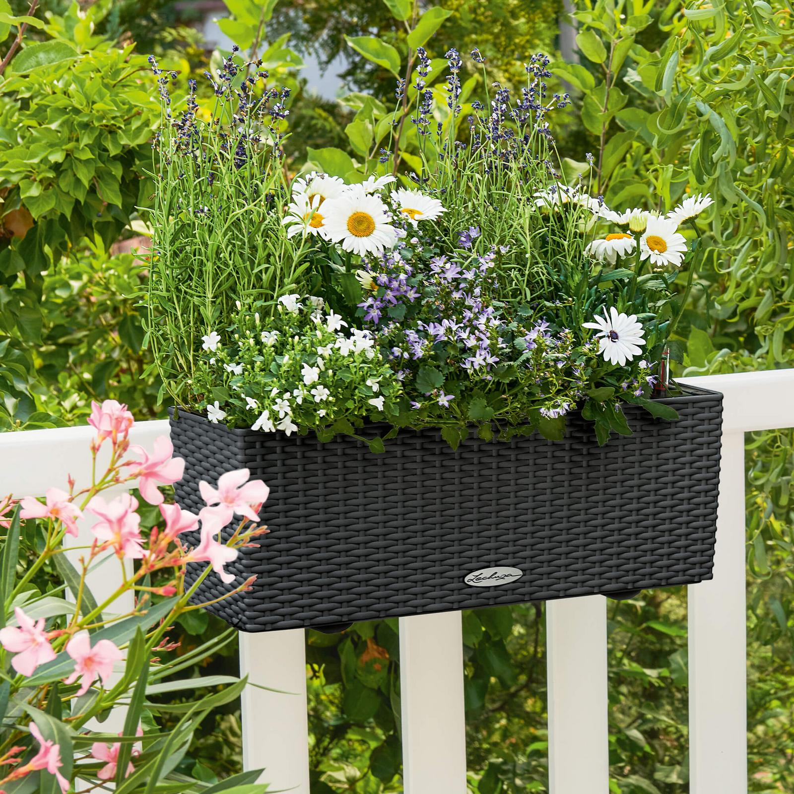 balconissima self watering railing planter Patio Deck Rail Planter | Balconera Planter