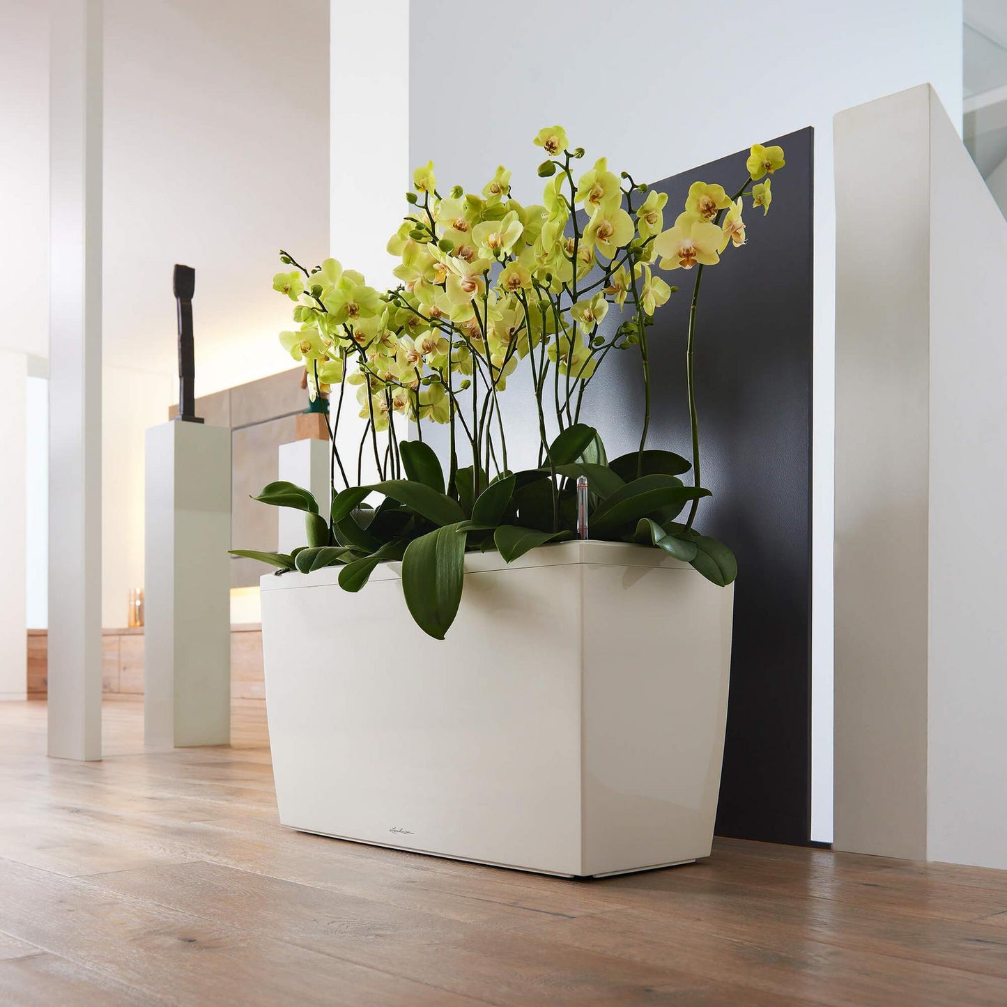 Rectangle Planter - Cararo Planter