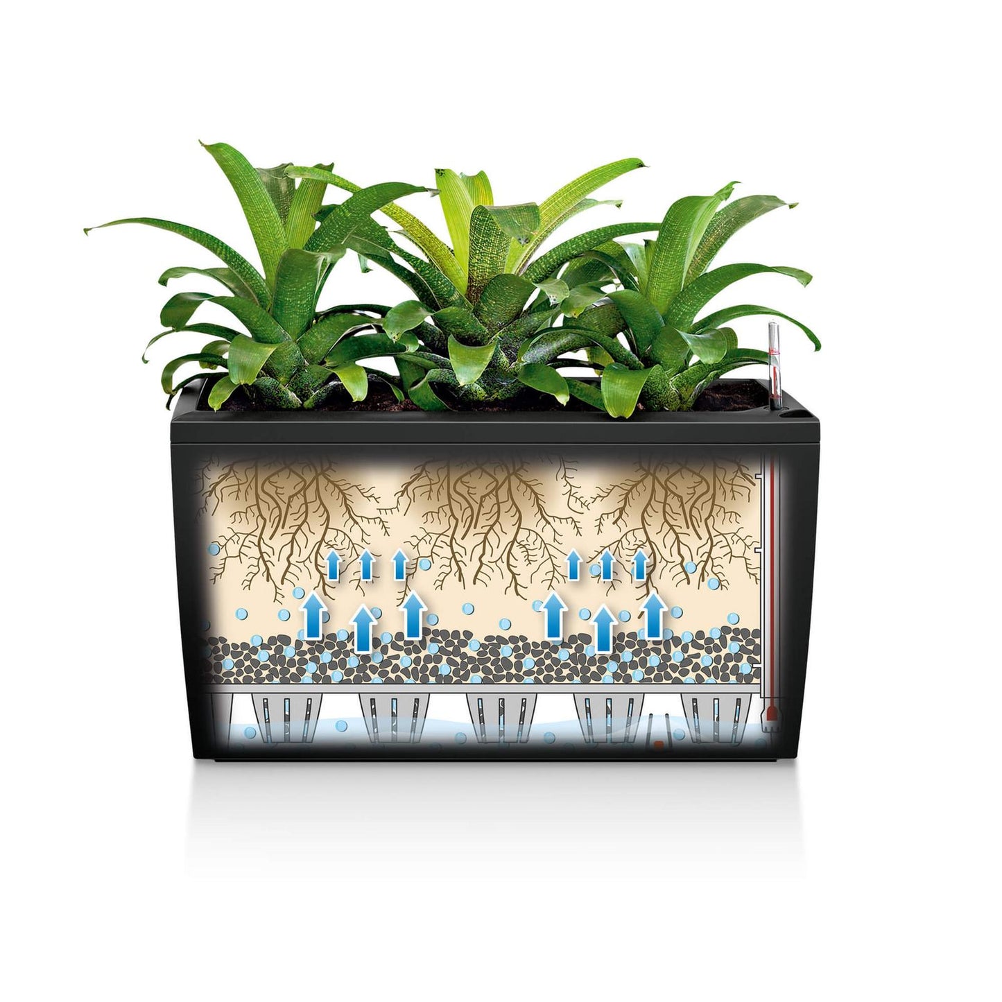 Rectangle Planter - Cararo Planter