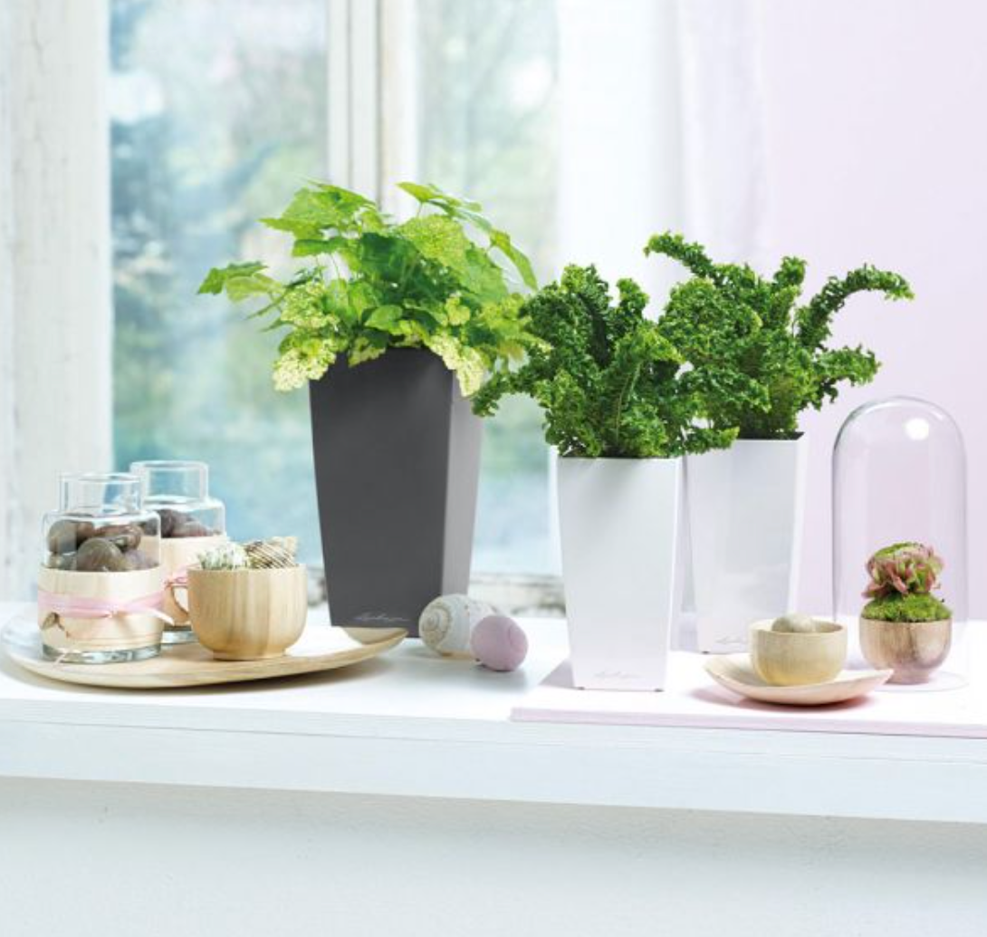 Cubi Planter - Self-Watering Planter