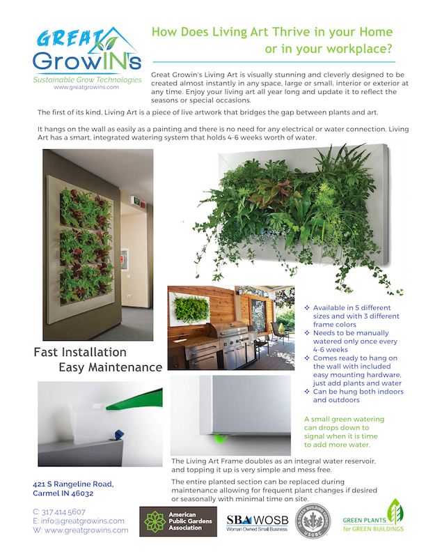 Live Divider | Living Wall | Privacy Wall | Privacy Plants