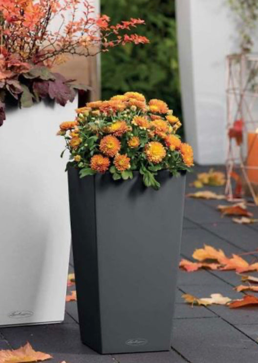 Cubico Color-Molded Planter | Self-Watering Tall Planter