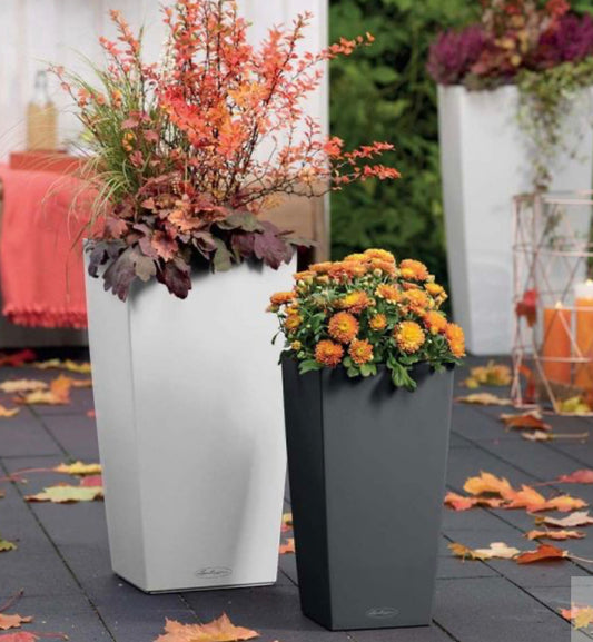 Cubico Color-Molded Planter | Self-Watering Tall Planter