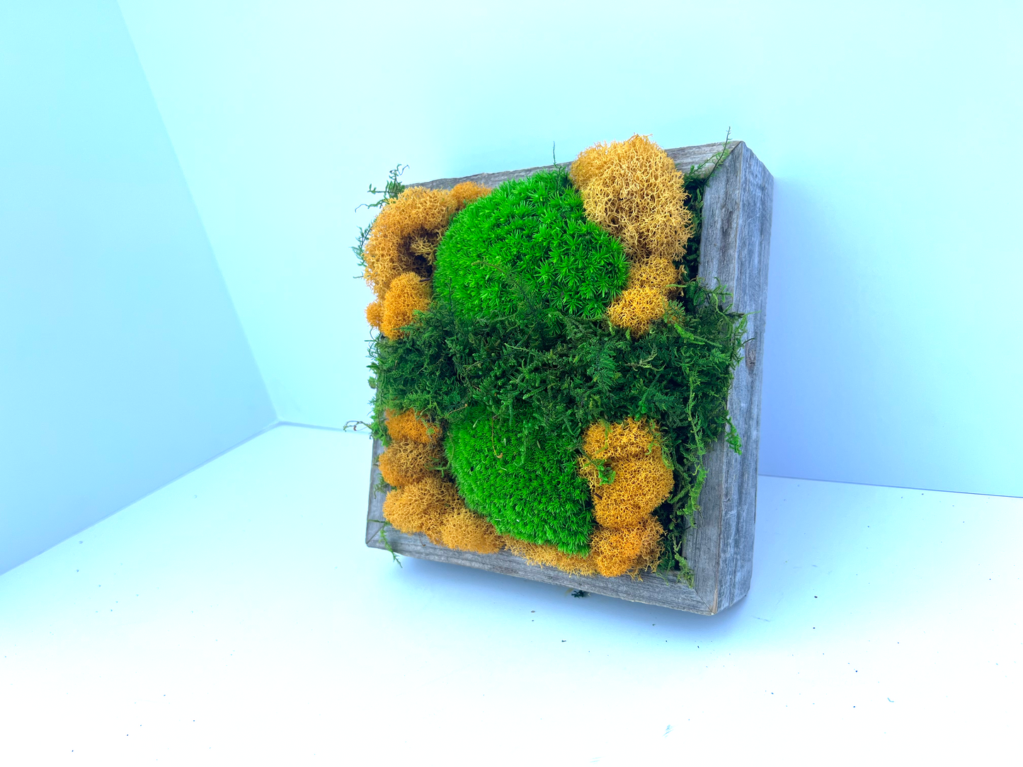 Moss Art - Small Square